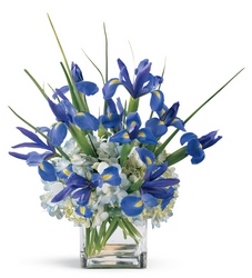 Bountiful Beauty Bouquet